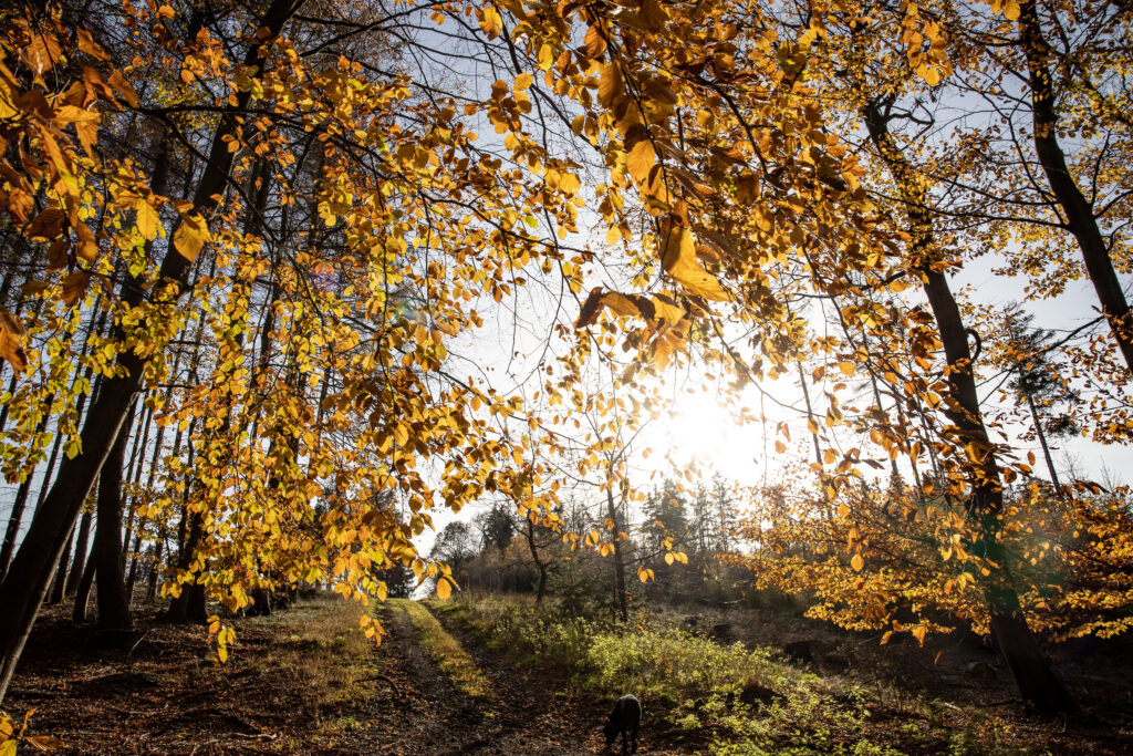 Wanderwege in Preußisch Oldendorf, Bad Holzhausen
