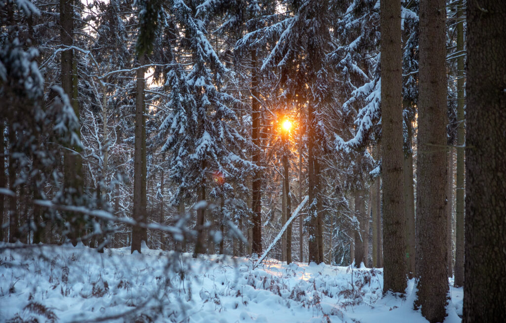 Wandern bei Schnee in Ostwestfalen